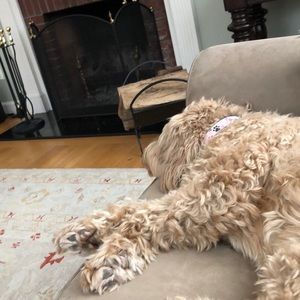 Meet your Posher, Julie